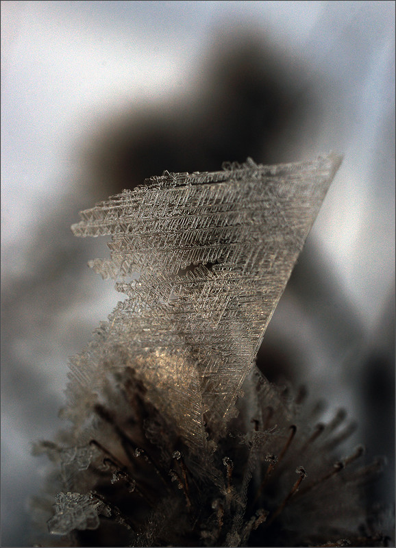 Фотографія Парус... / Evgeniy Nikitin / photographers.ua