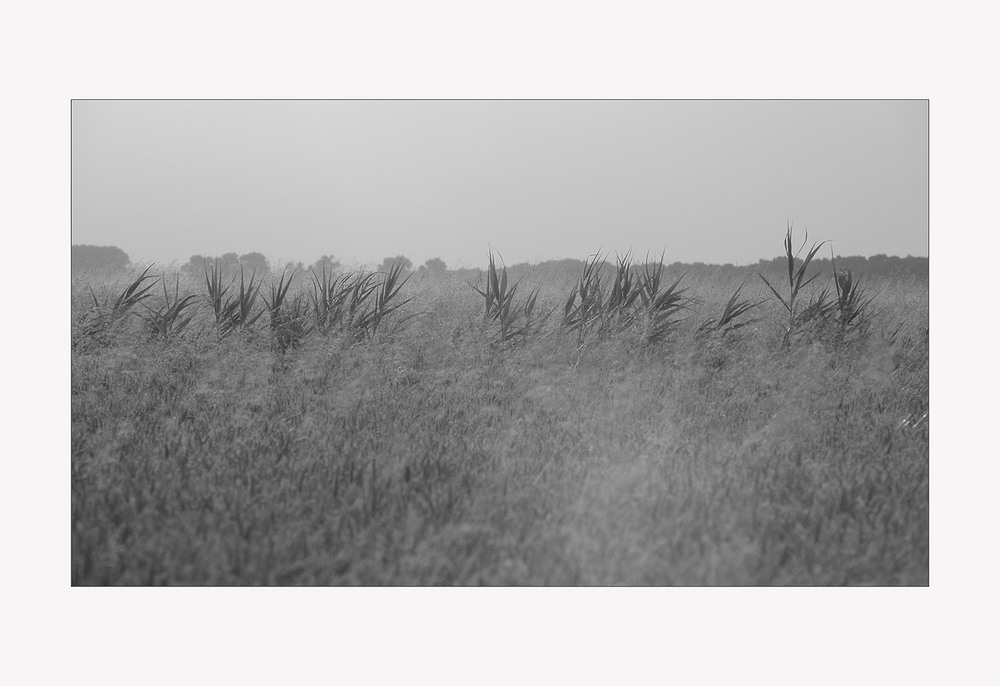 Фотографія *** / Evgeniy Nikitin / photographers.ua