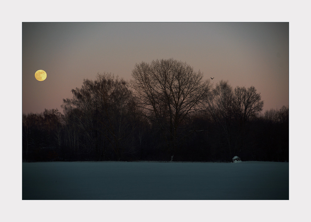 Фотографія Trio... / Evgeniy Nikitin / photographers.ua