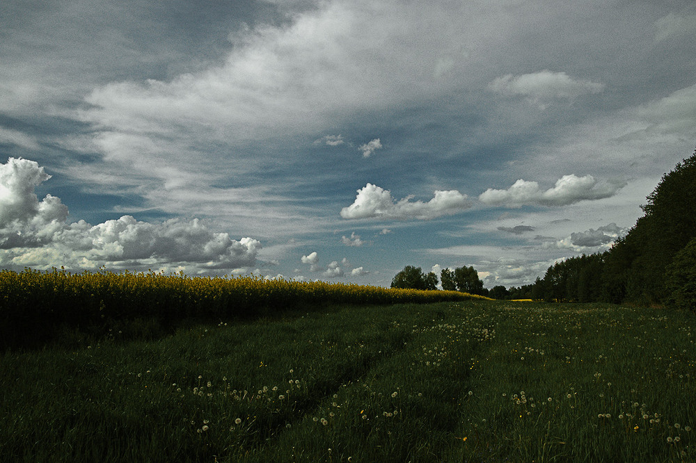 Фотографія *** / Evgeniy Nikitin / photographers.ua
