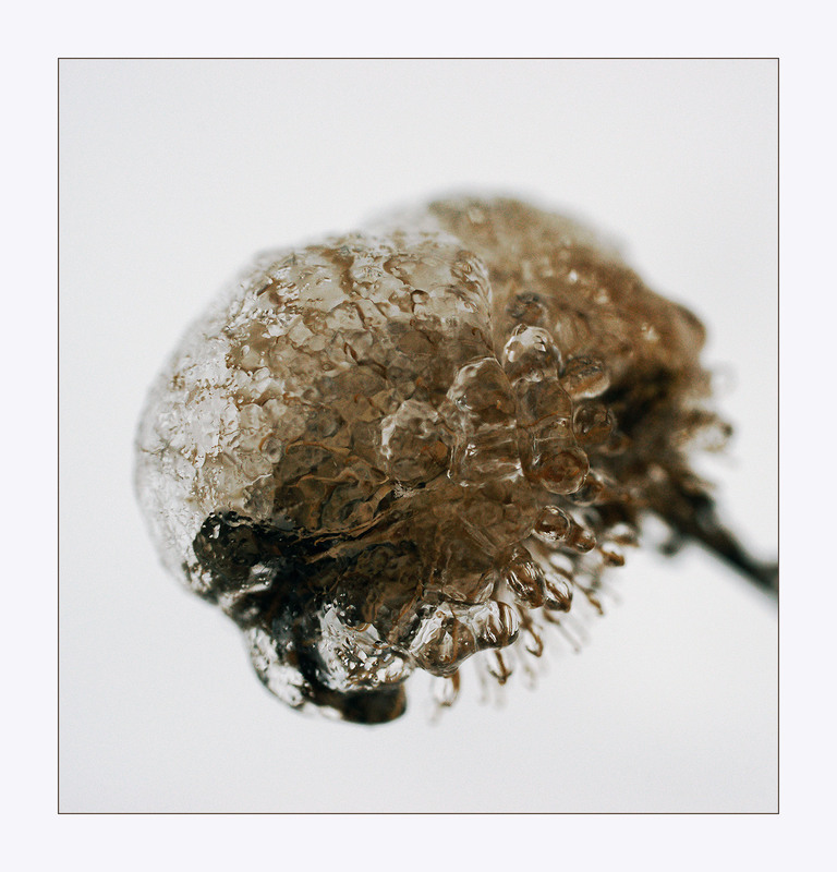 Фотографія *** / Evgeniy Nikitin / photographers.ua