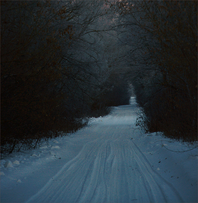 Фотографія *** / Evgeniy Nikitin / photographers.ua