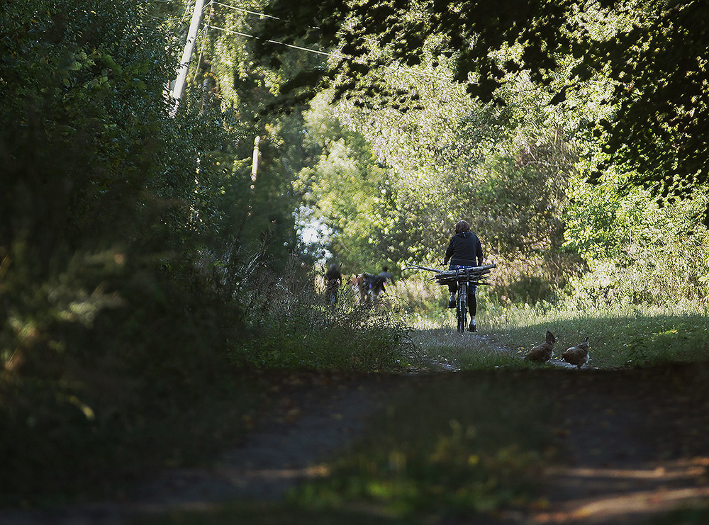 Фотографія трохи про життя... / Evgeniy Nikitin / photographers.ua