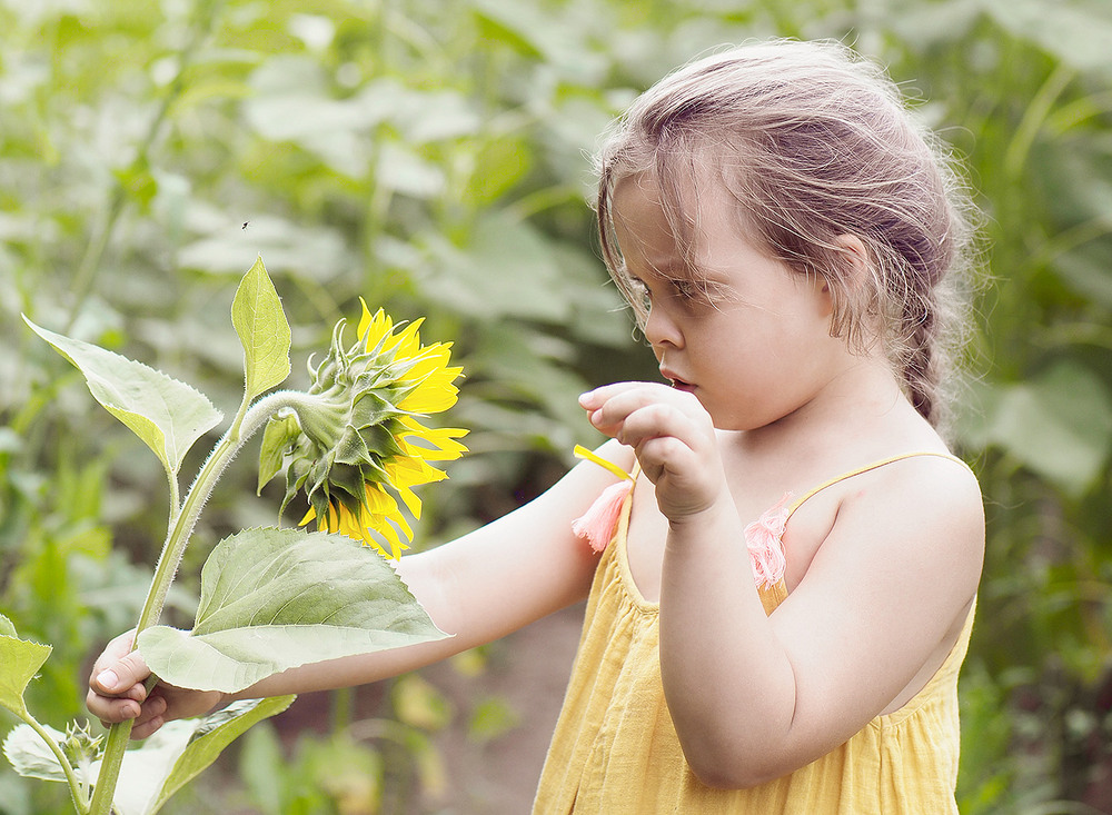 Фотографія про комарика... / Evgeniy Nikitin / photographers.ua