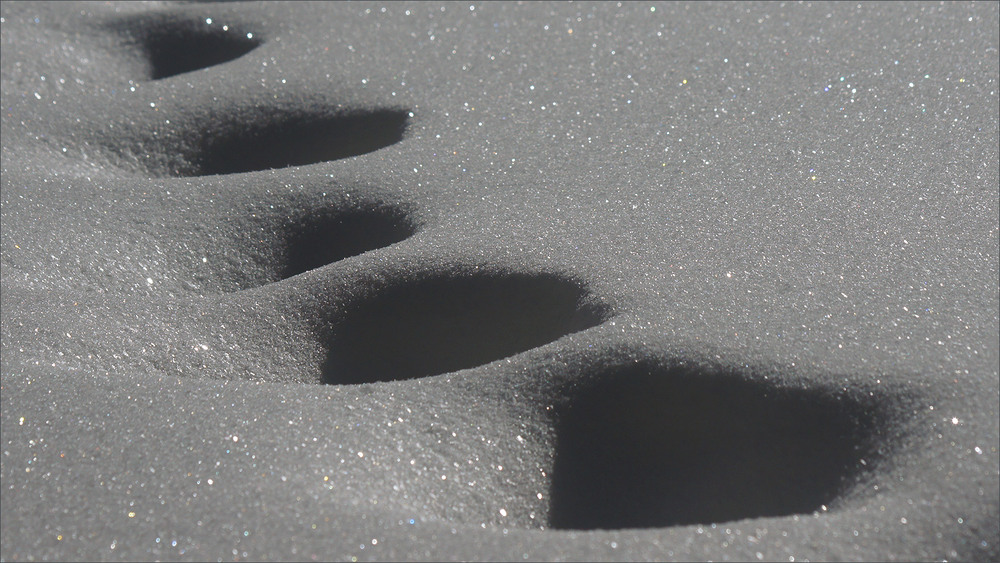 Фотографія *** / Evgeniy Nikitin / photographers.ua