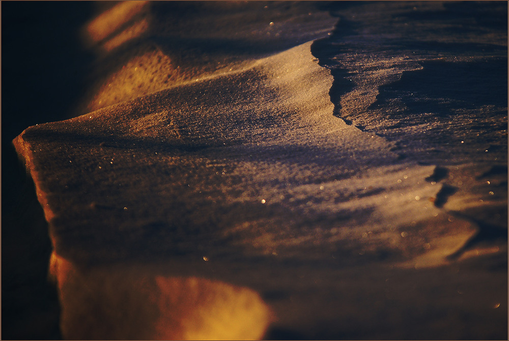 Фотографія *** / Evgeniy Nikitin / photographers.ua