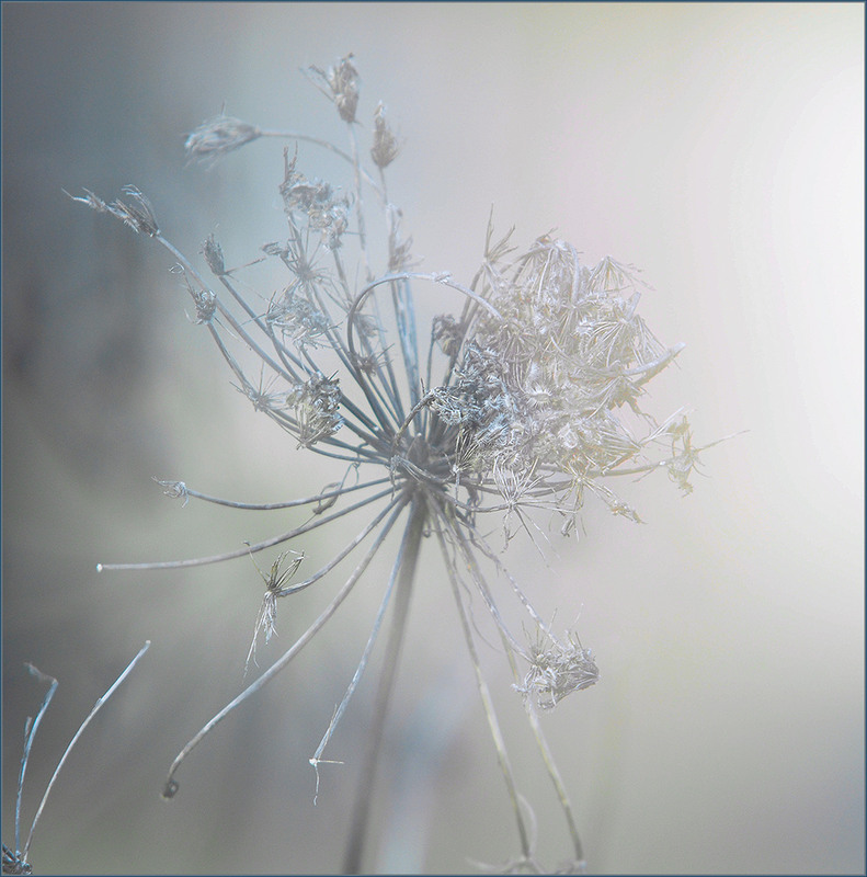 Фотографія *** / Evgeniy Nikitin / photographers.ua