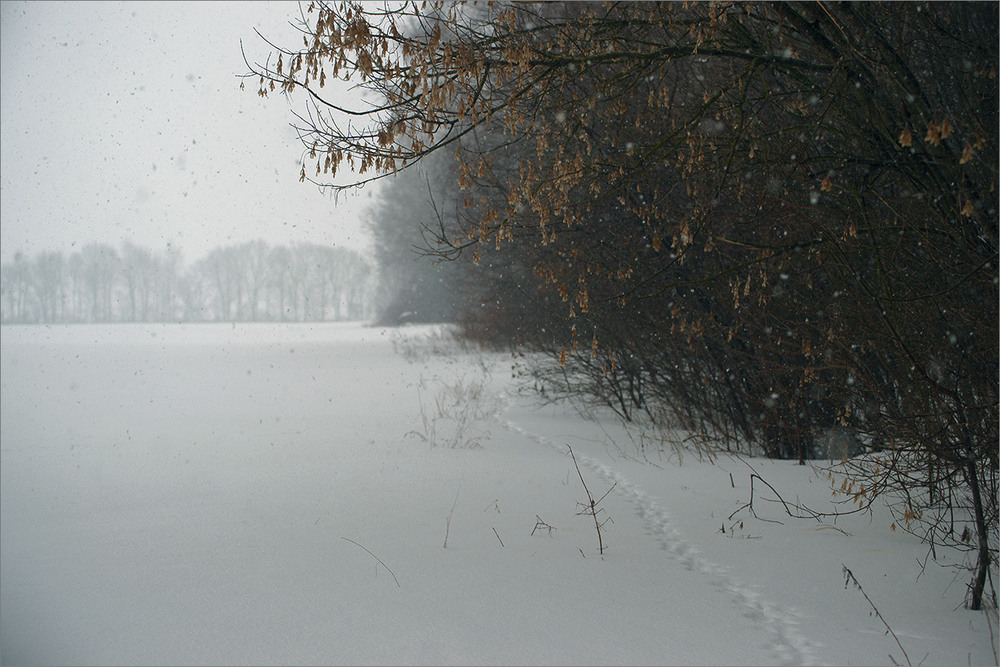 Фотографія *** / Evgeniy Nikitin / photographers.ua