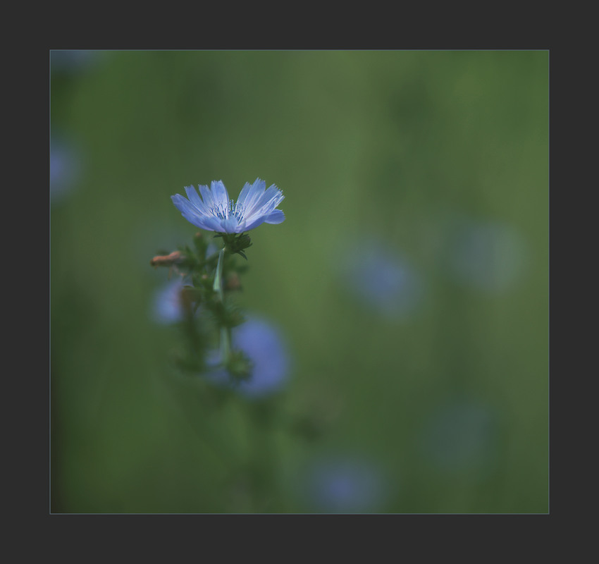 Фотографія *** / Evgeniy Nikitin / photographers.ua