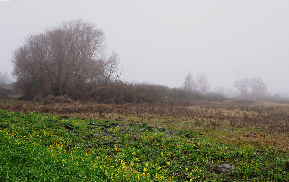 Фотографія *** / Evgeniy Nikitin / photographers.ua