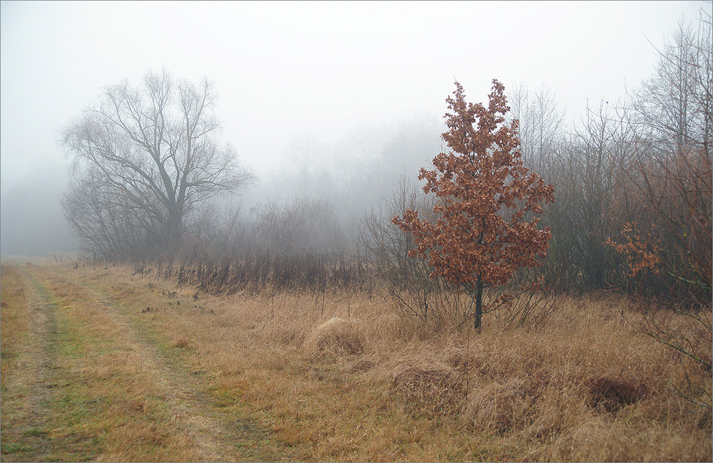 Фотографія десь за туманами... / Evgeniy Nikitin / photographers.ua