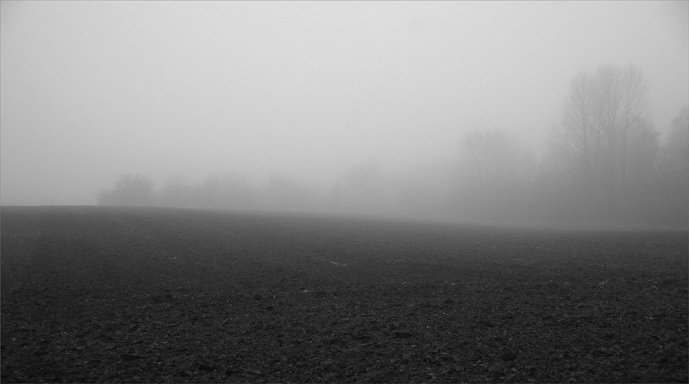 Фотографія десь за туманами... / Evgeniy Nikitin / photographers.ua