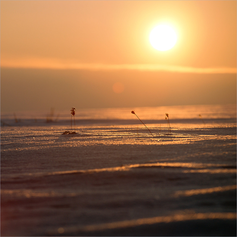 Фотографія *** / Evgeniy Nikitin / photographers.ua