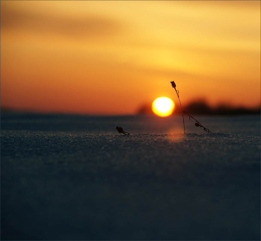 Фотографія *** / Evgeniy Nikitin / photographers.ua