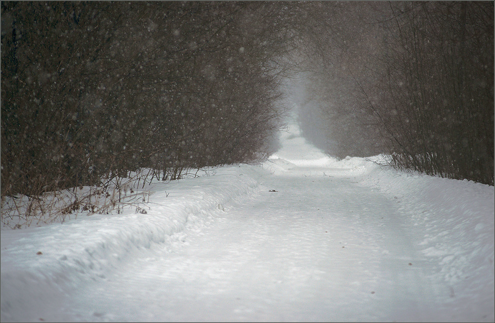 Фотографія *** / Evgeniy Nikitin / photographers.ua