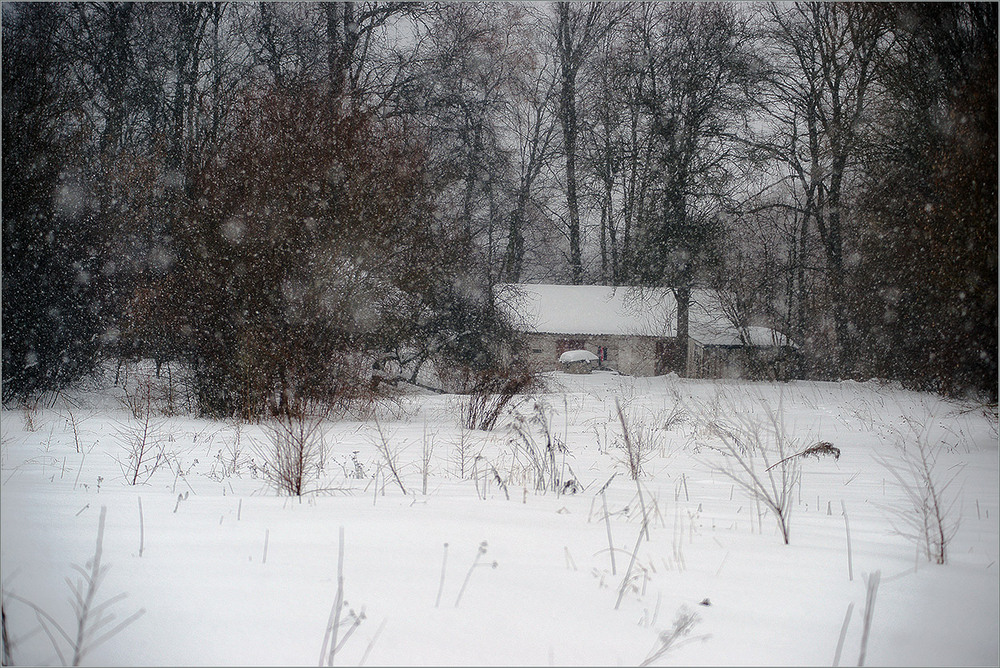 Фотографія *** / Evgeniy Nikitin / photographers.ua