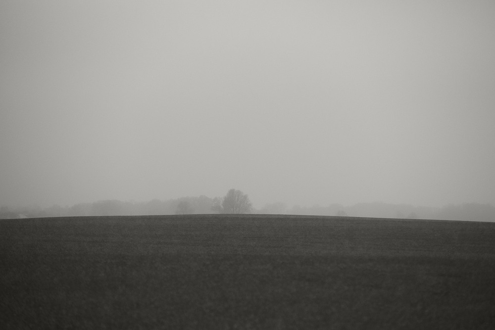 Фотографія *** / Evgeniy Nikitin / photographers.ua