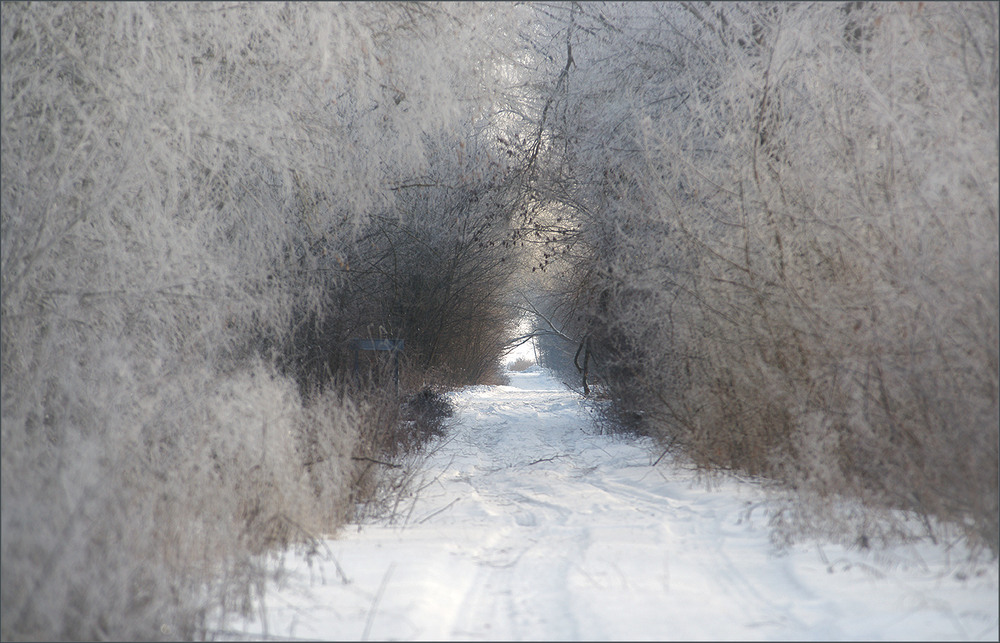 Фотографія Тунель... / Evgeniy Nikitin / photographers.ua