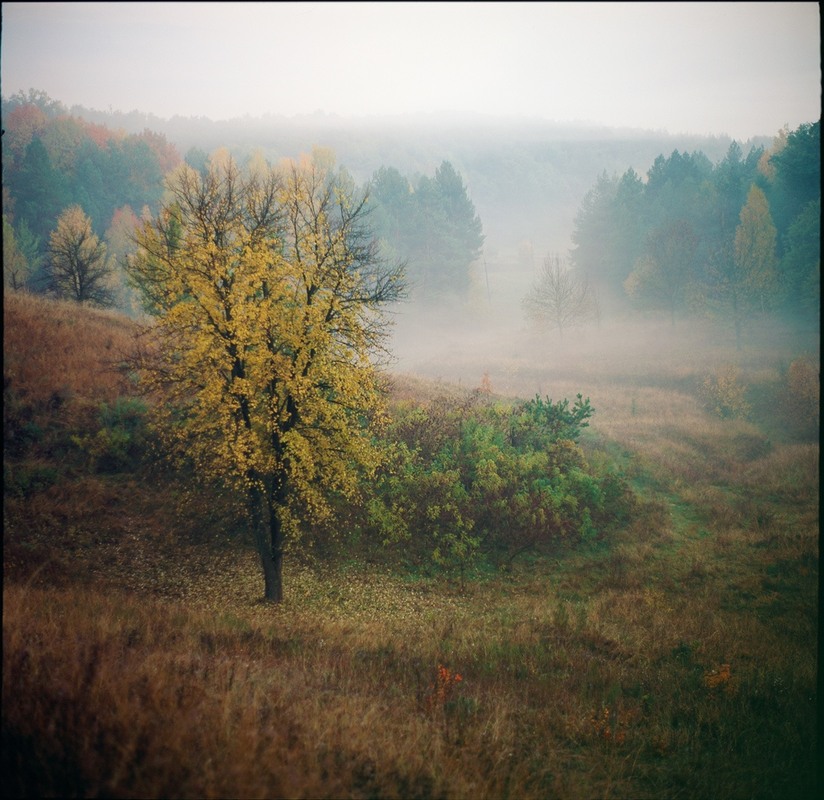 Фотографія Осень / Igor Peschanov / photographers.ua