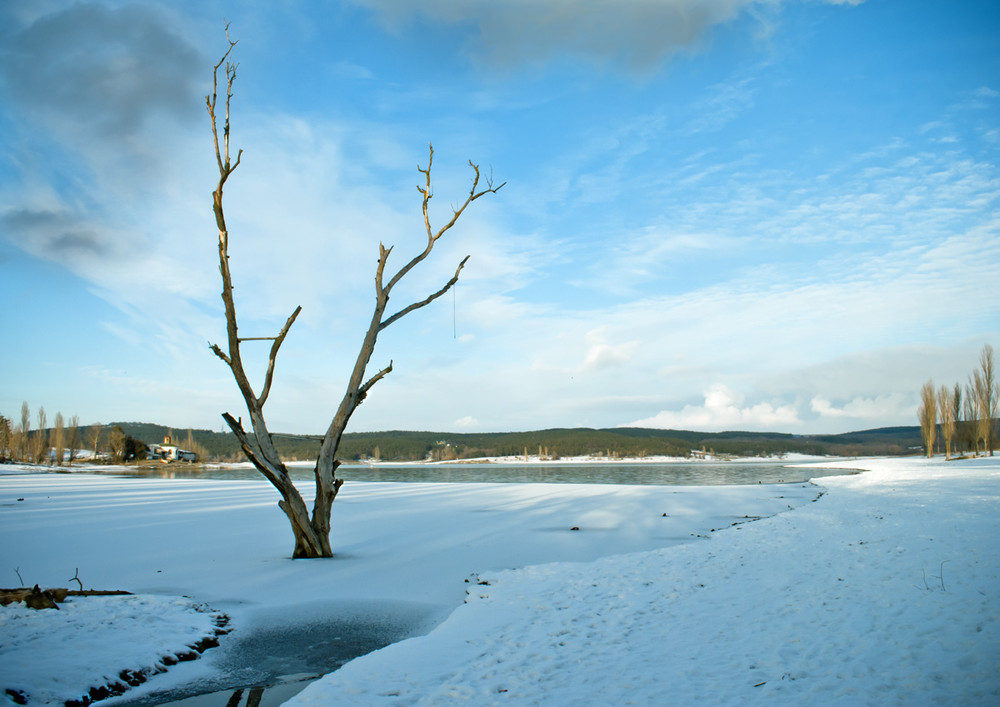 Фотографія пробиваясь сквозь лед / Игорь Соболь / photographers.ua