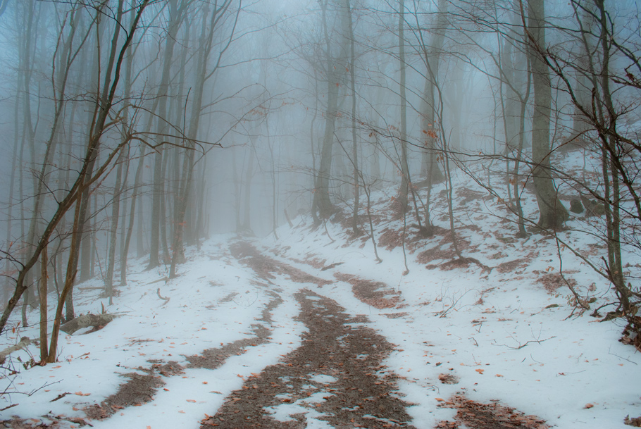 Фотографія morning winter fog / Игорь Соболь / photographers.ua