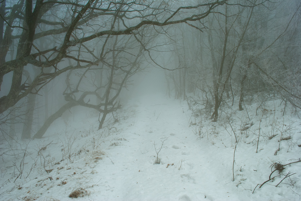 Фотографія morning winter fog 2 / Игорь Соболь / photographers.ua