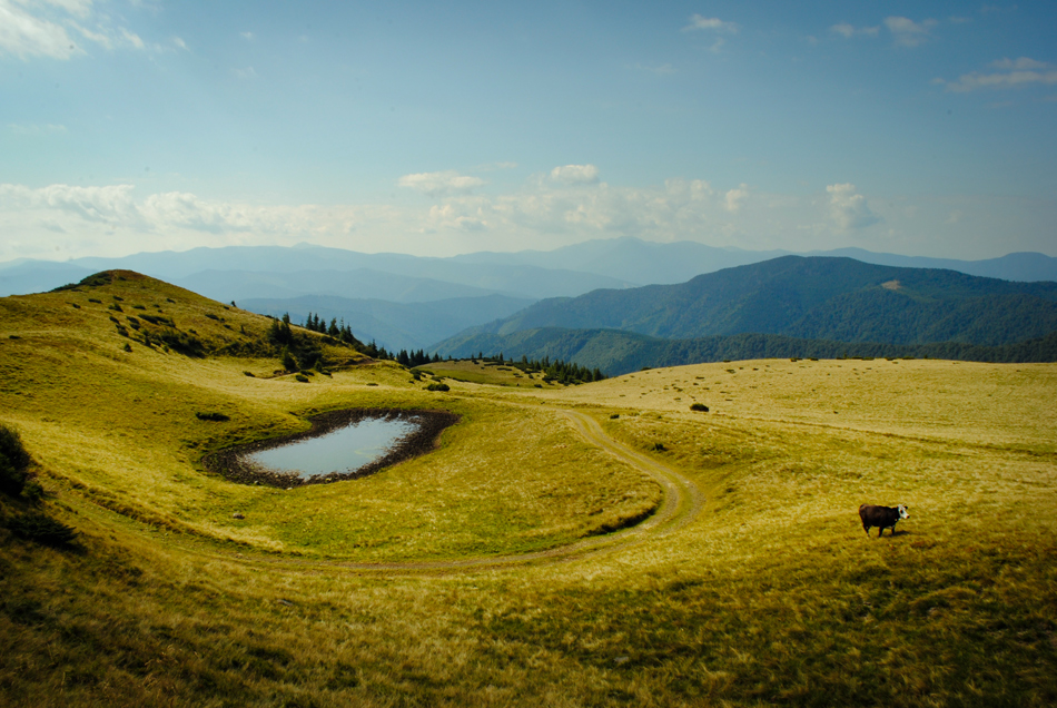 Фотографія Пейзаж / Игорь Соболь / photographers.ua