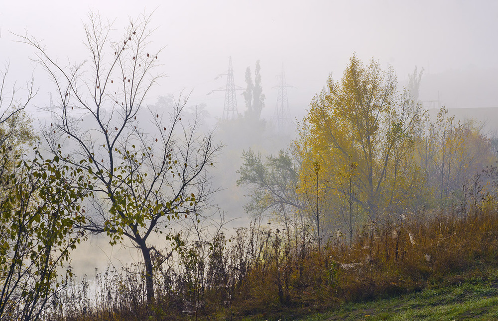 Фотографія Про світло в тумані... / Oleh / photographers.ua