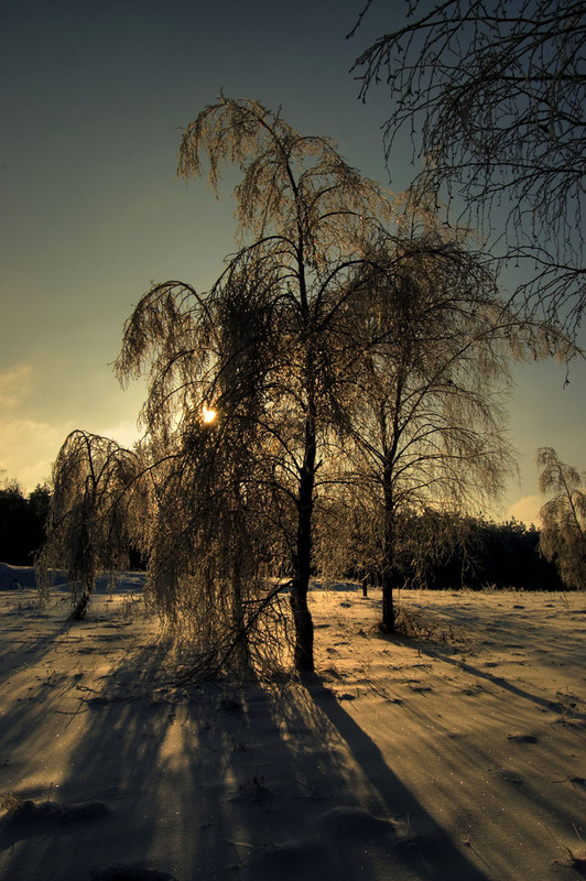 Фотографія Зима / Андрій Куницький / photographers.ua