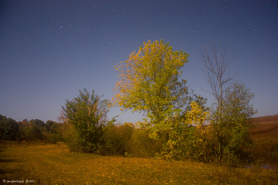 Фотографія Осіння ніч при повному місяці / ©М`ясковський Володимир / photographers.ua