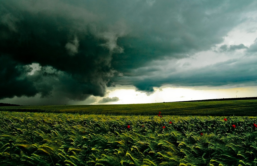 Фотографія Before the storm / Наталя Редька / photographers.ua