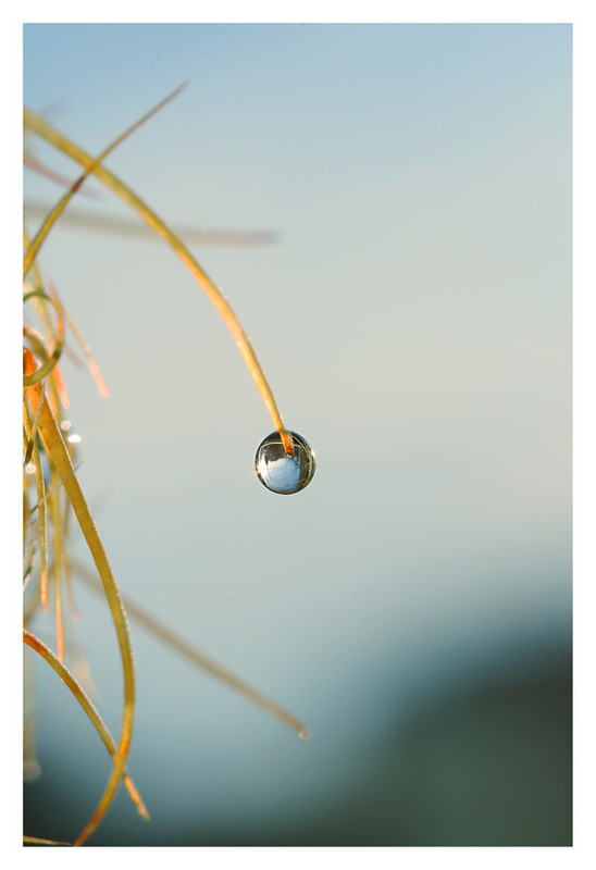 Фотографія Falling... Don't breathe... / Наталя Редька / photographers.ua