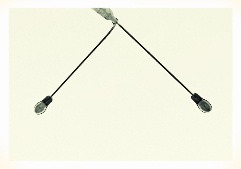 Фотографія Широко шагая / Михаил Галаев / photographers.ua