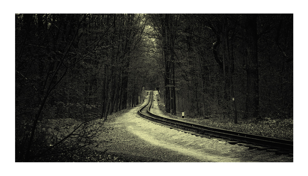 Фотографія Разное / Михаил Галаев / photographers.ua