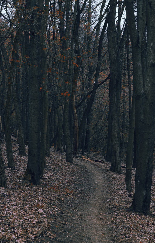 Фотографія Пейзаж / Михаил Галаев / photographers.ua