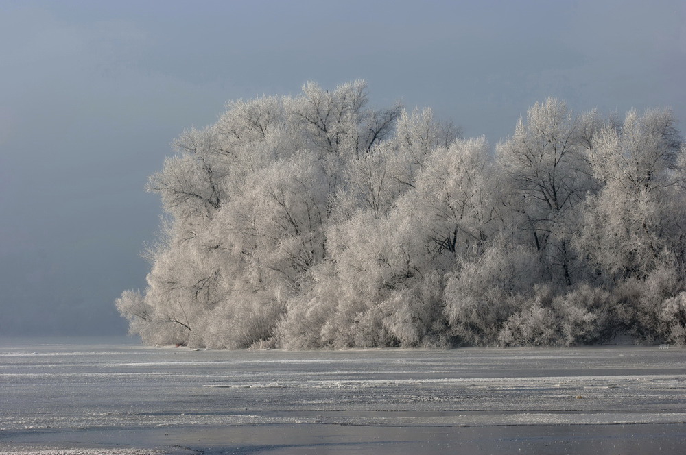 Фотографія Зимові наряди / Віктор Якушко / photographers.ua