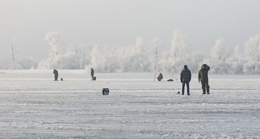 Фотографія В Зимових мереживах / Віктор Якушко / photographers.ua