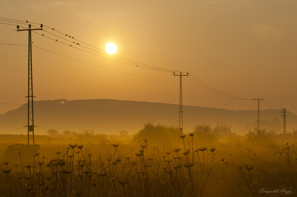Фотографія Утренняя зарядка... / Sergey Demyanchuk / photographers.ua