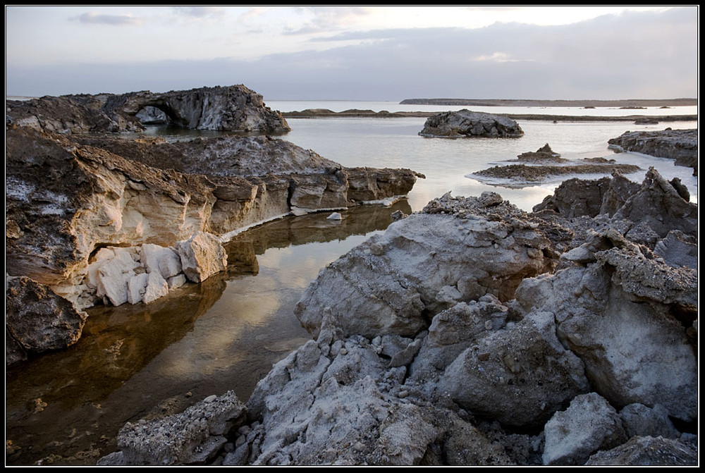 Фотографія Сокровища Мёртвого моря.. / Sergey Demyanchuk / photographers.ua