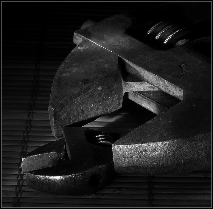 Фотографія Отцовская забота / Игорь Литвиненко / photographers.ua