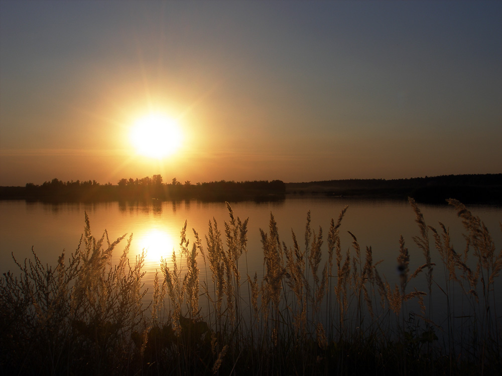 Фотографія Лучи заходящего солнца ... / Марина Шатохина / photographers.ua