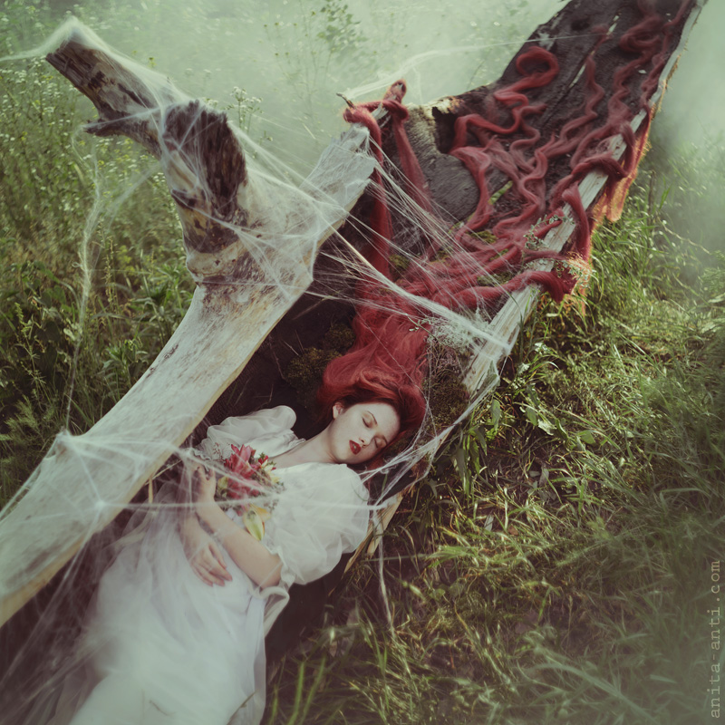 Фотографія Sleeping beauty / Anita Anti / photographers.ua