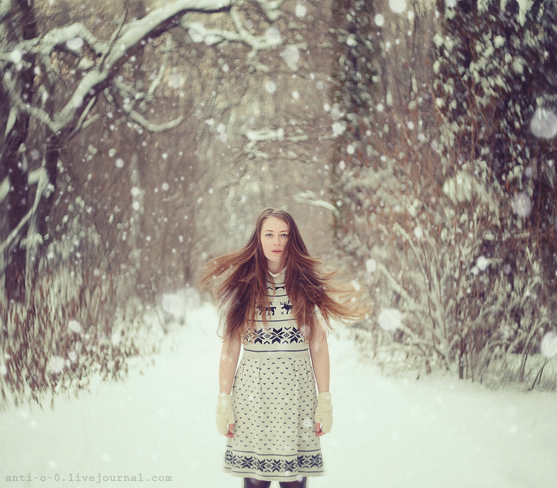 Фотографія Winter wonderland / Anita Anti / photographers.ua
