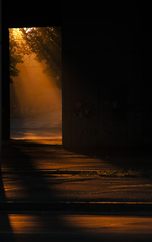Фотографія Окно в Осень. / Александр Русанюк / photographers.ua