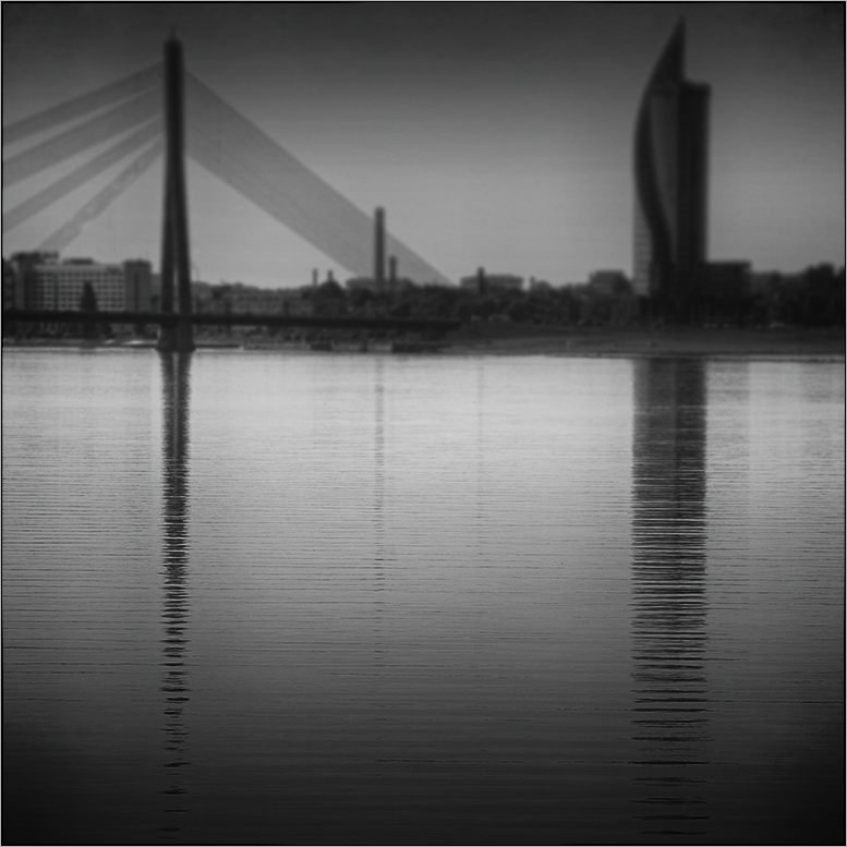 Фотографія Disputes about Nothing / Лариса Гурьева / photographers.ua