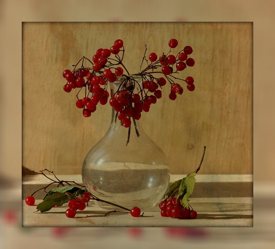 Фотографія C калиной / Людмила Джур / photographers.ua