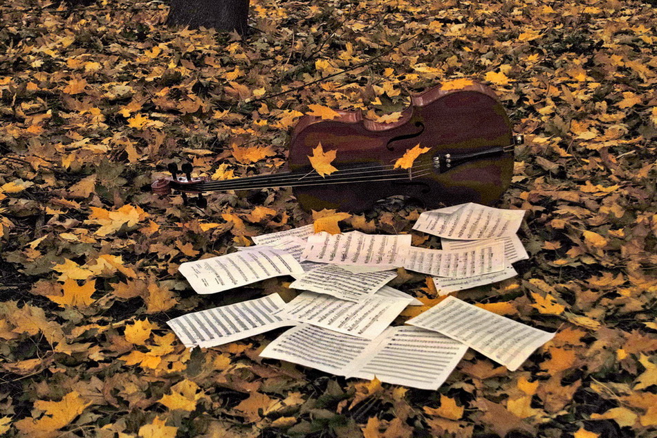 Фотографія Тихо пела песню осень... / Людмила Джур / photographers.ua