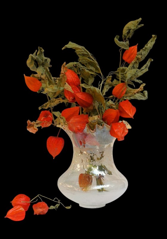 Фотографія Ліхтарики осені / Людмила Джур / photographers.ua