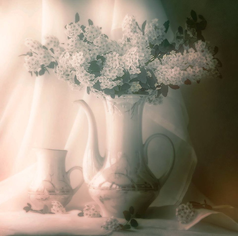 Фотографія Рожевий ранок / Людмила Джур / photographers.ua