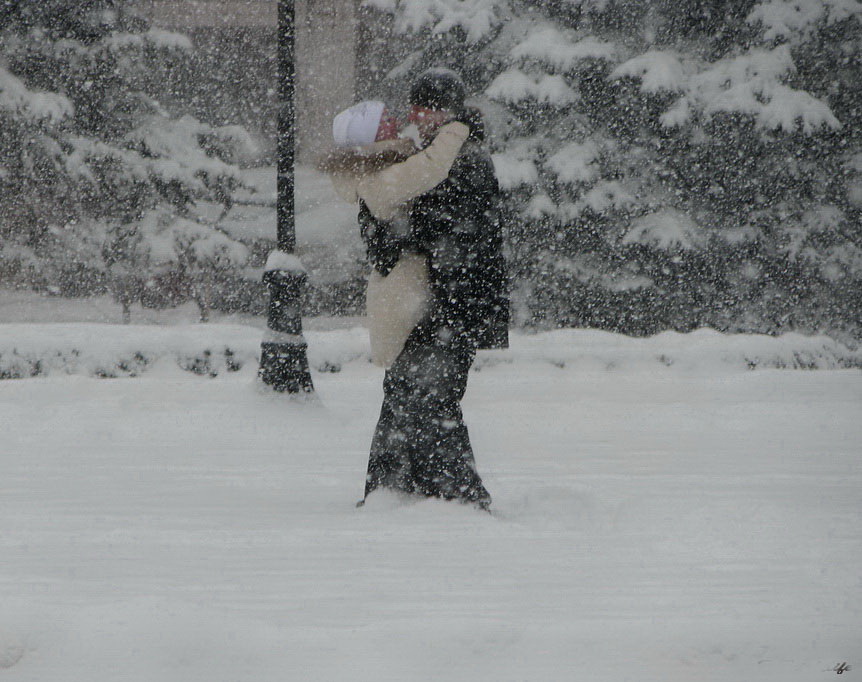 Фотографія Сніжний вальс / Людмила Джур / photographers.ua